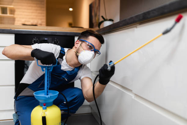 Reliable Rio Vista, TX Pest Control Solutions