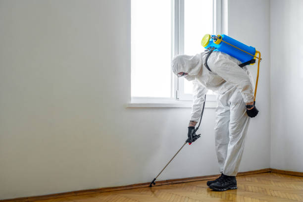 Flea Control Services in Rio Vista, TX