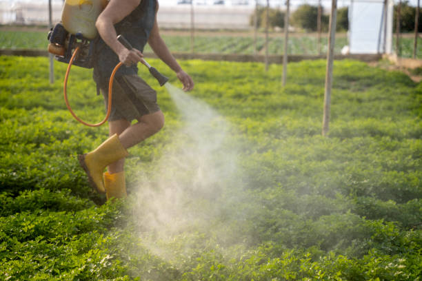 Best Exterminator Services  in Rio Vista, TX
