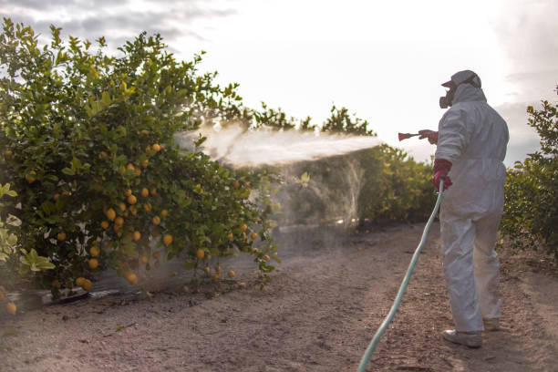 Best Mosquito Control Services  in Rio Vista, TX