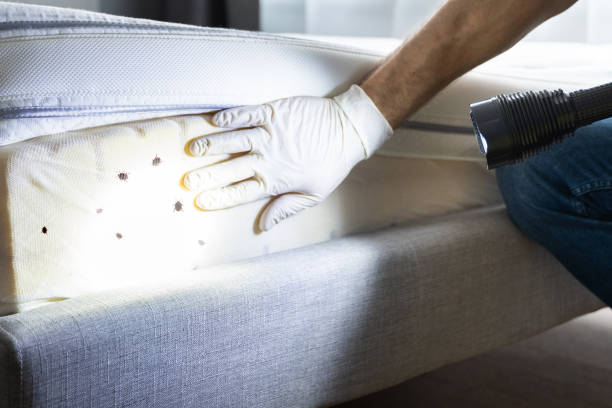 Best Pest Control Near Me  in Rio Vista, TX