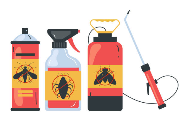 Best Ant Control Services  in Rio Vista, TX