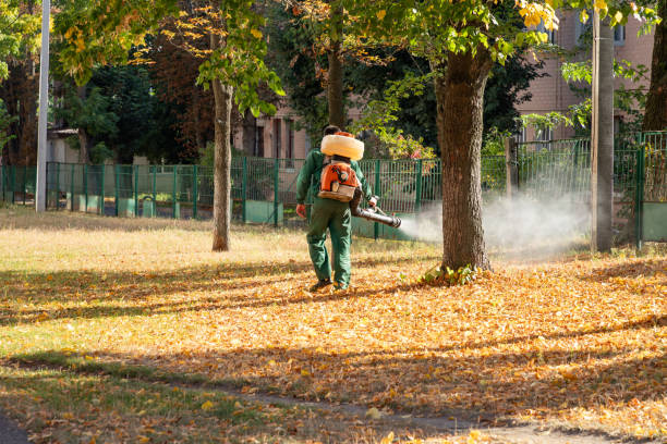 Best Flea Control Services  in Rio Vista, TX