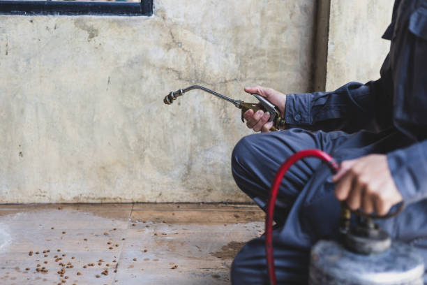 Best Commercial Pest Control Services  in Rio Vista, TX